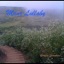 Manx Lullaby - Single