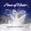 Dimitri Artemenko Sevivon (@Nop Mix) [feat. SackJo22 & Dimitri Artemenko] Peace of Winter