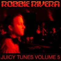 Juicy Tunes, Vol. 5 - Robbie Rivera