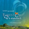 DJ Nash Presents Forest of Dreams, 2008