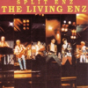 Split Enz - I See Red artwork