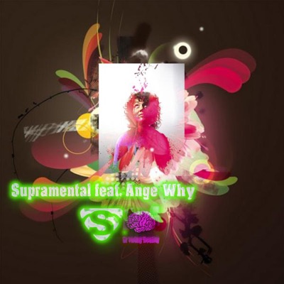 Why (feat. Ange) - Single
