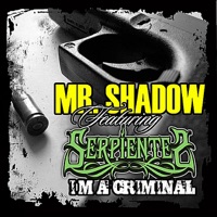 I'm a Criminal (feat. Serpientes y Piramides) - Single - Mr. Shadow