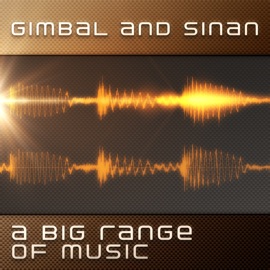 Vibrations Gimbal & Sinan