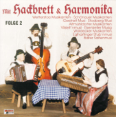 Mit Hackbrett Und Harmonika 2