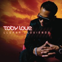 Llorar Lloviendo - Single - Toby Love