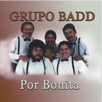 Cuanto Te Debo