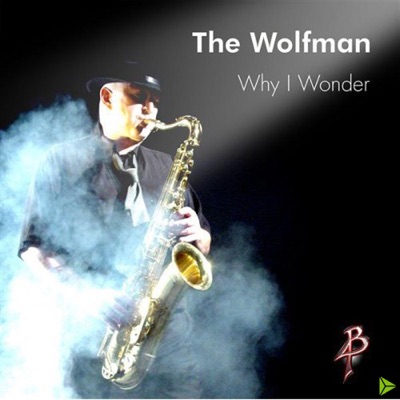 Why I Wonder