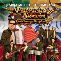 Patricio Servin y su Flamazo Tropical - Camila