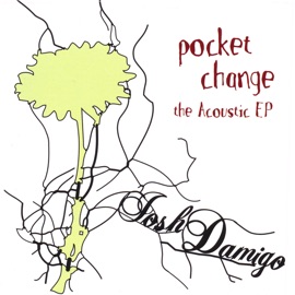 Pocket Change Josh Damigo