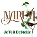 Je veit et stelle