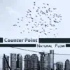 Counter Point - Under A Velvet Sky