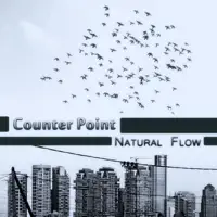 Under A Velvet Sky — Counter Point