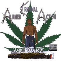 Armed Criminal Action, Part 2 - Mr. Stinky