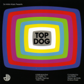 Top Dog (A Retrospective of Classic TV & Radio Themes 1960-1982)