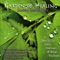Southesque (Patrice Haan) - Healing Muses lyrics