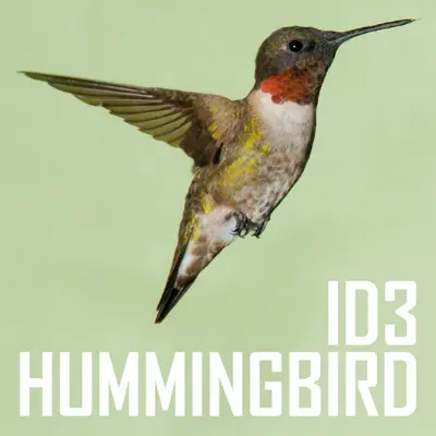 Listen to Hummingbird - EP by ID3
