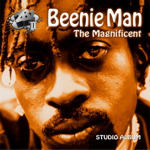 The Magnificent