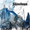 I Dare You (Acoustic Version) - Shinedown lyrics