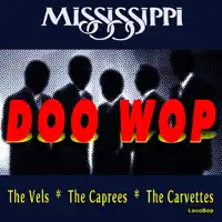 Mysterious Teenage - The Vels — The Vels