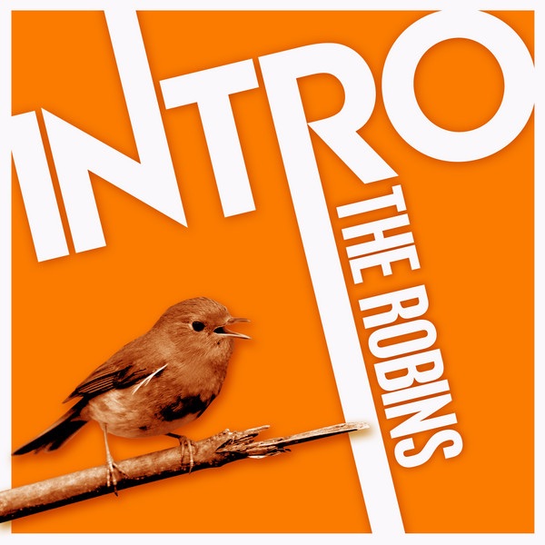 Обложка альбома «Intro: The Robins - EP» — The Robins