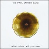 The Paul Garner Band