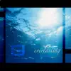 Ryan Farish - Everlasting Light