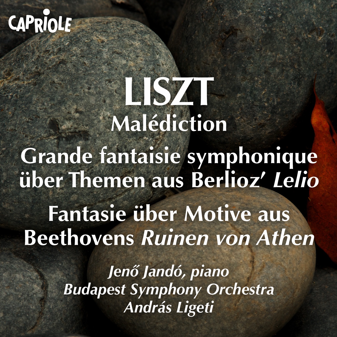 Liszt, F.: Malediction - Grande Fantaisie Symphonique On Themes From Berlioz's Lelio - Fantasie On Motive From Beethoven's Ruinen Von Athen