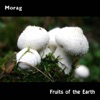 Fruits of the Earth