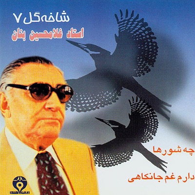 Shakheh Gol 7 (Che Shurha)