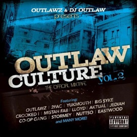 Intro (feat. Youg Noble) DJ Outlaw