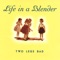 Asshole from Menlo Park - Life In a Blender lyrics