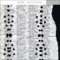 Forms of Paper (Remastered) - Steve Roden lyrics