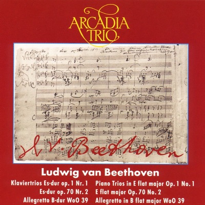 Arcadia Trio - Trio Nr. 1 Es-Dur Op. 1 Nr. 1 - I. Allegro