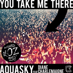 You Take Me There (feat. Diane Charlemagne) - Wizards Of OZ Mixes - EP