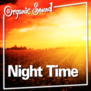 Night Time (Nature Sounds) - Single - Organic Sound