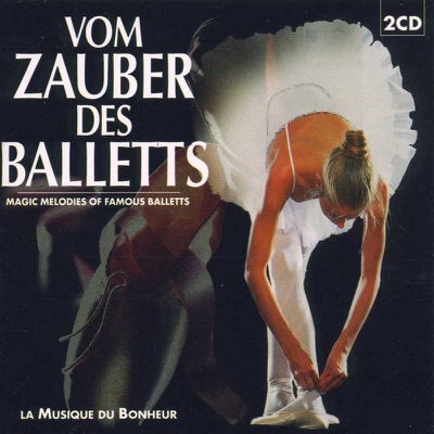 Ein Grosses Orchester, Michael Scholowsky