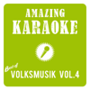 Amazing Karaoke - Best of Volksmusik, Vol. 4 - Amazing Karaoke