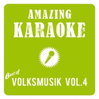 Amazing Karaoke - Best of Volksmusik, Vol. 4 - Amazing Karaoke
