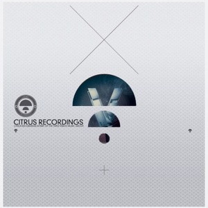 Voices / Duplicity - Single