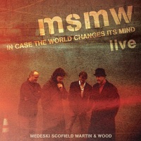 MSMW Live: In Case the World Changes Its Mind - Medeski Scofield Martin & Wood