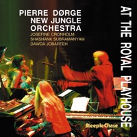 At the Royal Playhouse - Pierre Dørge & New Jungle Orchestra