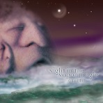 Night in the Vapor Jungle