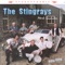 Riders In The Sky - The Stingrays lyrics