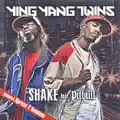 Shake (Album Version)
