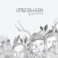Never Never (SBTRKT Remix) — Little Dragon