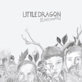 Never Never (SBTRKT Remix) Little Dragon