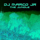 The Jungle artwork