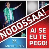 Ai Se Eu Te Pego by Michel Teló