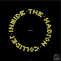 SynnyS - Inside the Hadron Collider album artwork